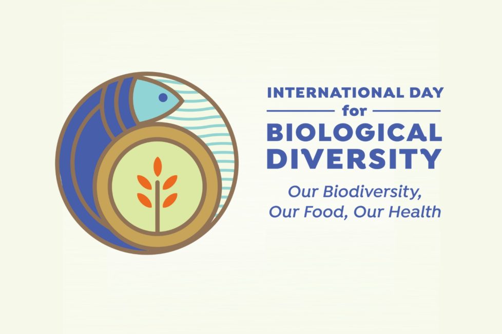 International Biodiversity Day