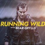 Bear Grylls image