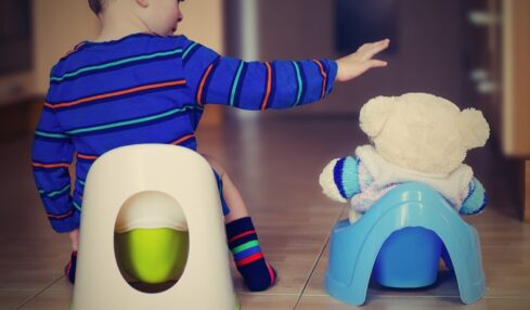 Potty Training Your Puppy